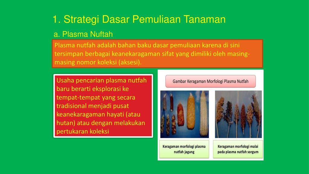 Poster Pemuliaan Hewan Dan Tumbuhan